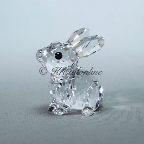 Baby Rabbit
